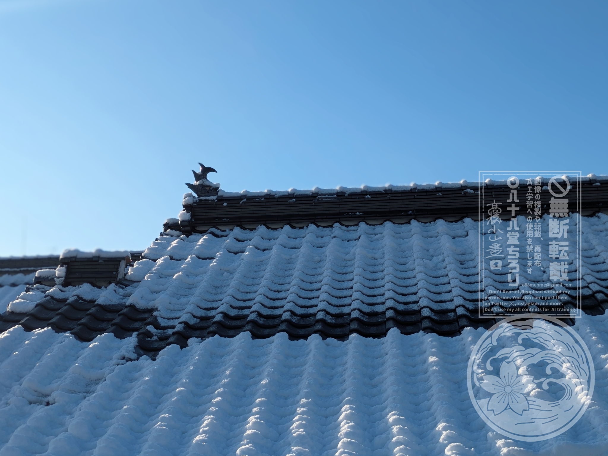 これは先日の雪のあと